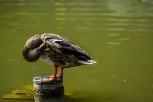 Miramare Luhačovice Nabídka Práce