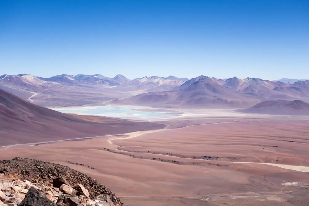 Atacama Firma